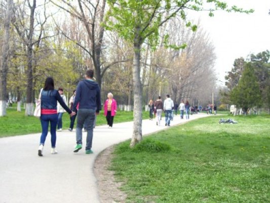 Semnatarii petiției „Spunem NU distrugerii parcului Tăbăcărie” amenință cu PROTESTE